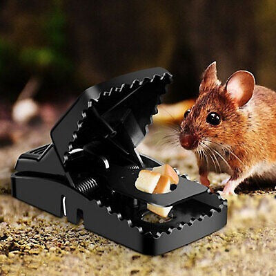 Heavy Duty Reusable Mouse Trap (Pack of 2)